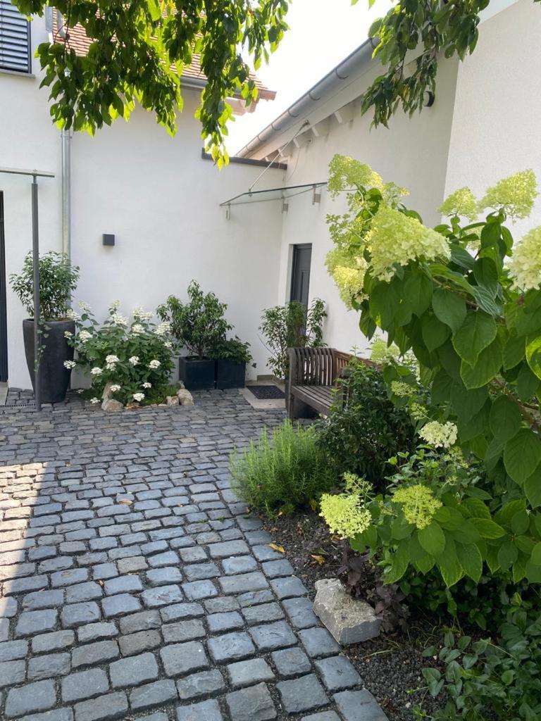 Colle Divino Apartment Вюрцбург Екстериор снимка