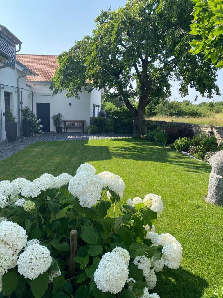 Colle Divino Apartment Вюрцбург Екстериор снимка